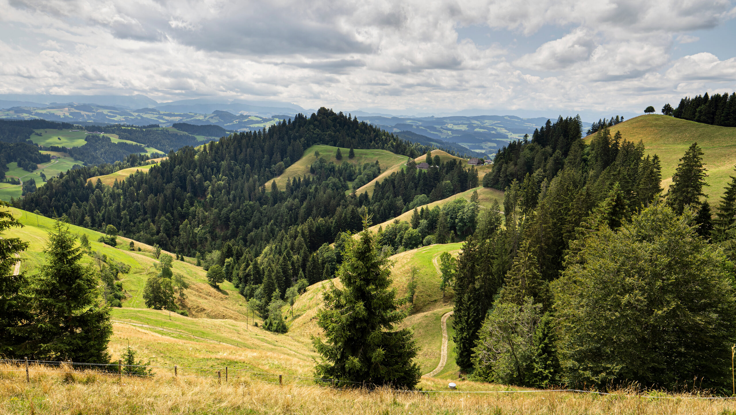 b1508cf3331223a9ddcb96eff69b89e636e15a1c scaled